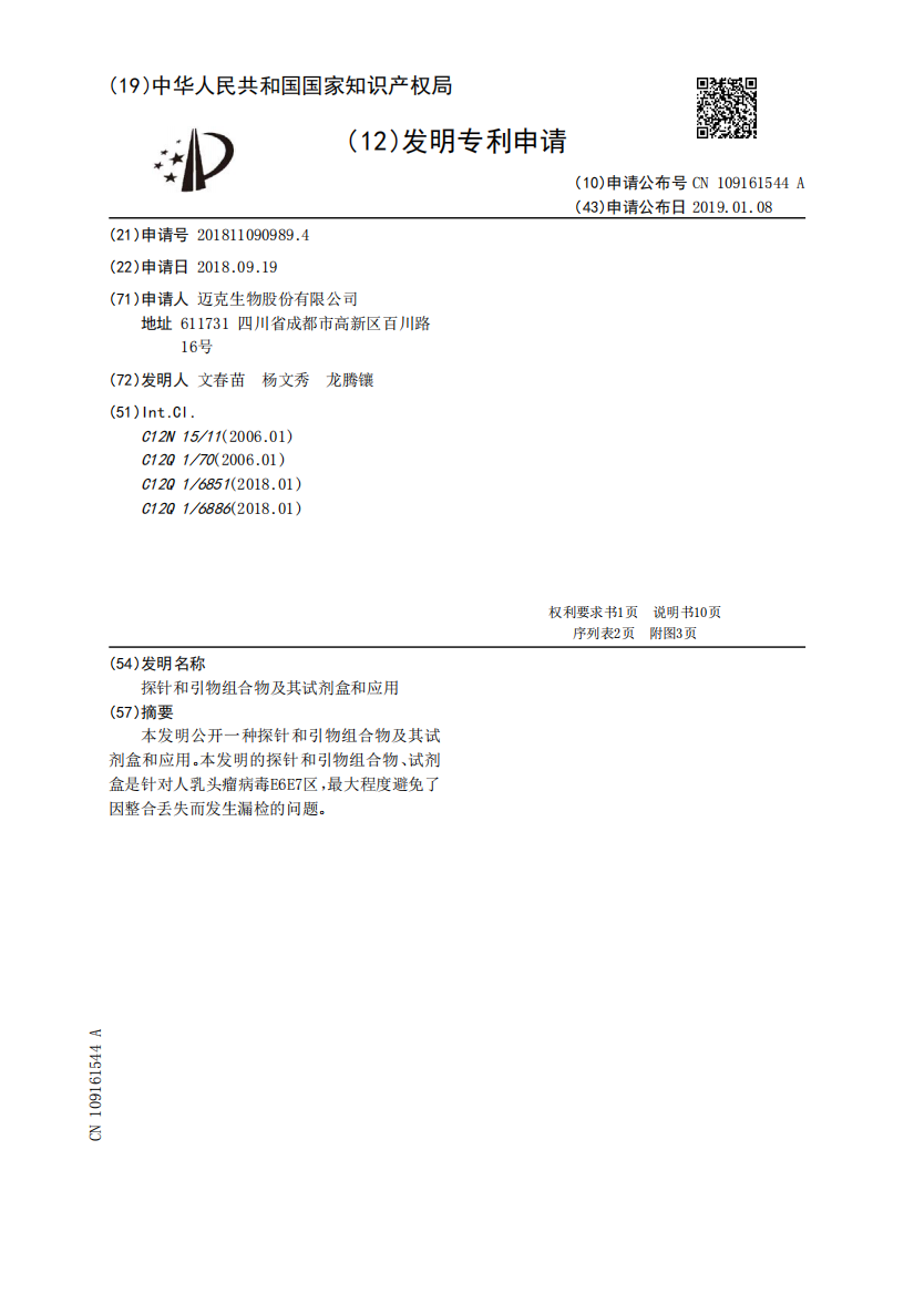 探针和引物组合物及其试剂盒和应用