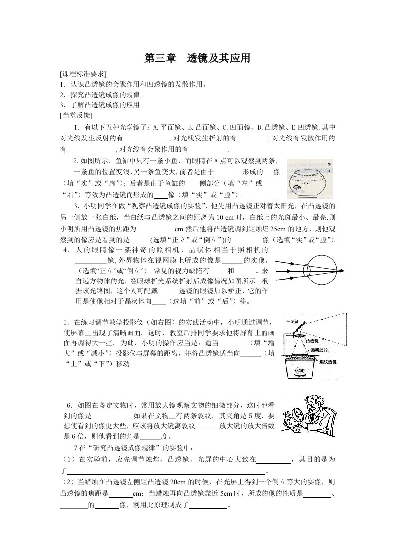 透镜及其应用初中物理