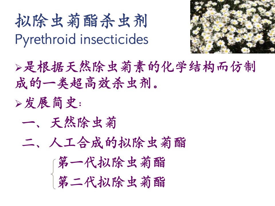 拟除虫菊酯杀虫剂资料ppt课件