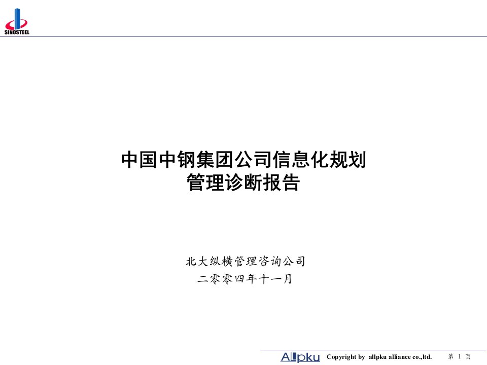 中钢集团项目诊断报告终稿