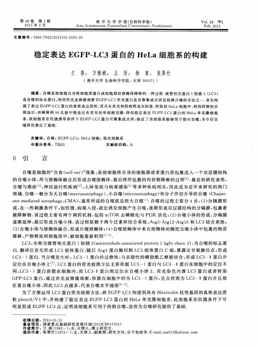 稳定表达egfp-lc3蛋白的hela细胞系的构建