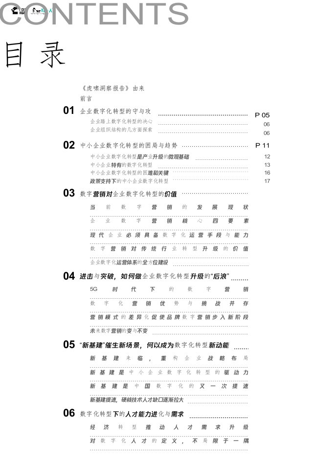 虎啸洞察报告：