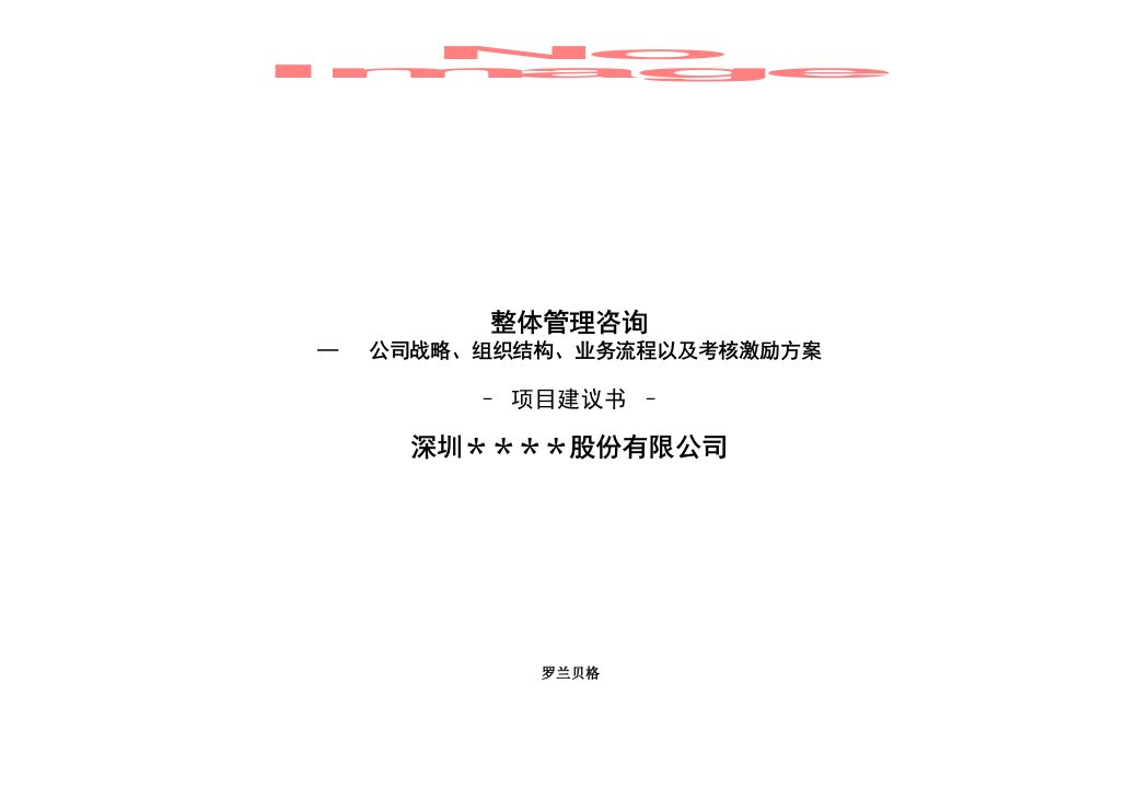 105某咨询标准项目建议书模板