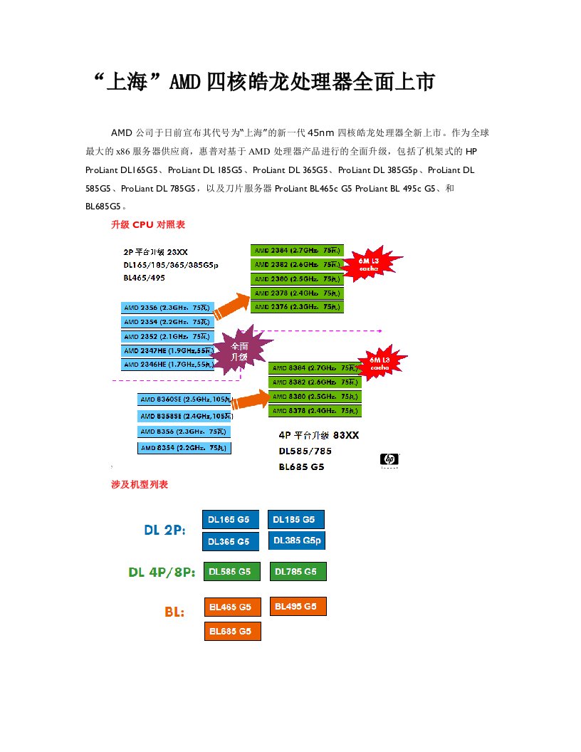 上海AMD四核皓龙处理器全面上市