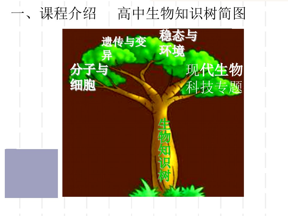 高中生物知识树简图王秀云