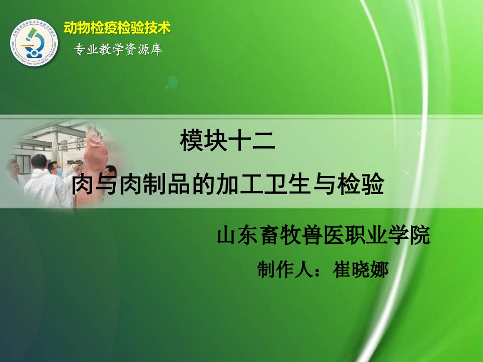 肉与肉制品的加工卫生与检验