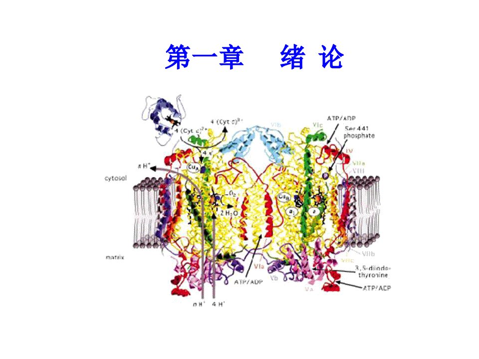 生物科技-生物化学的概念