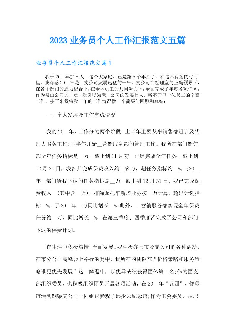 业务员个人工作汇报范文五篇