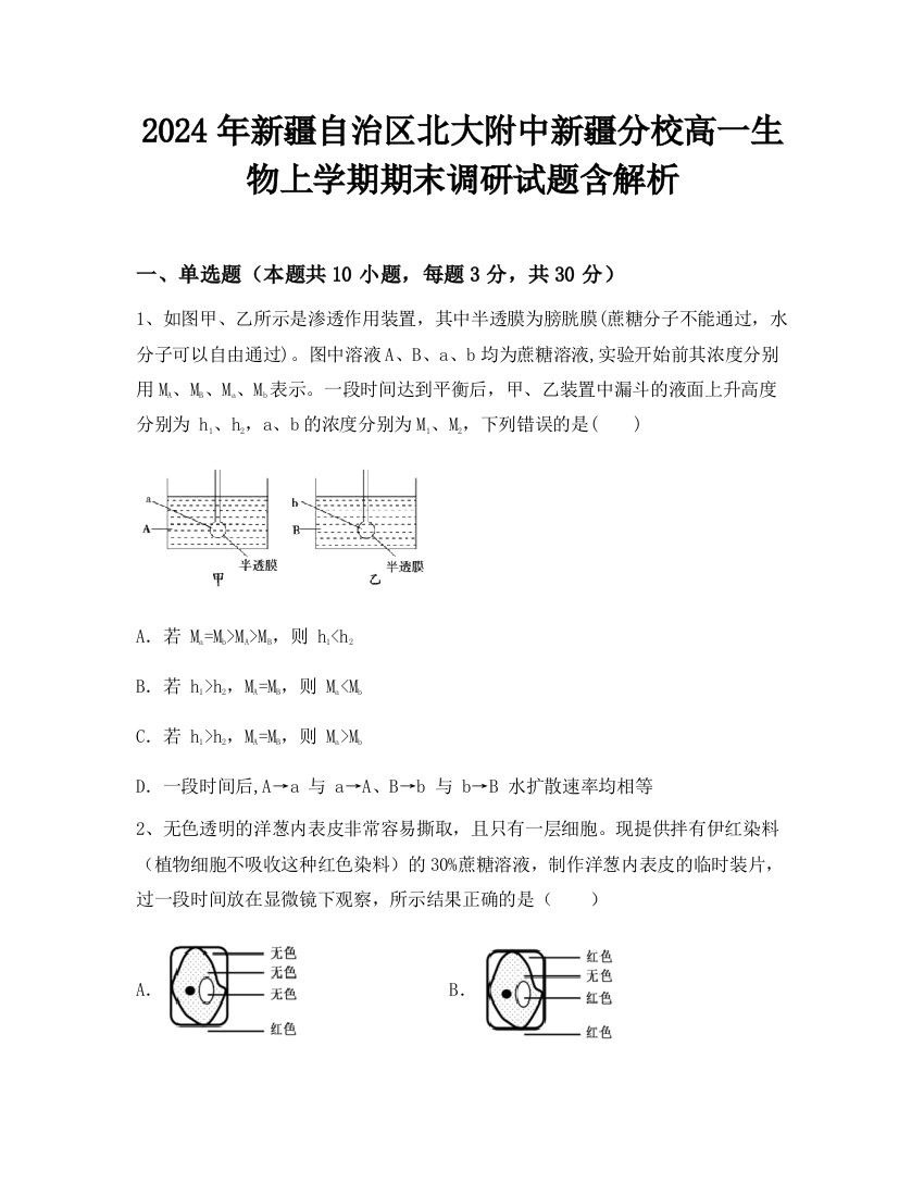 2024年新疆自治区北大附中新疆分校高一生物上学期期末调研试题含解析