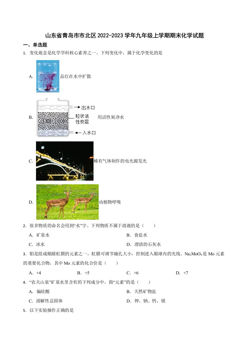 山东省青岛市市北区2023年九年级上学期期末化学试题附答案