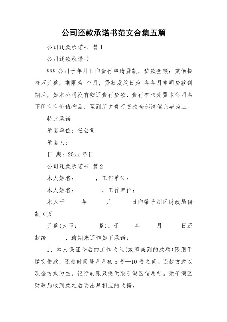 公司还款承诺书范文合集五篇