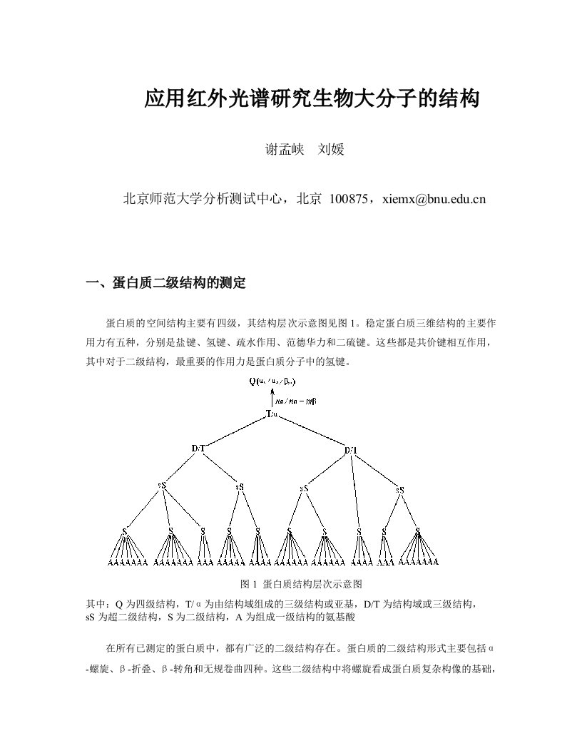 应用红外光谱研究生物大分子的结构