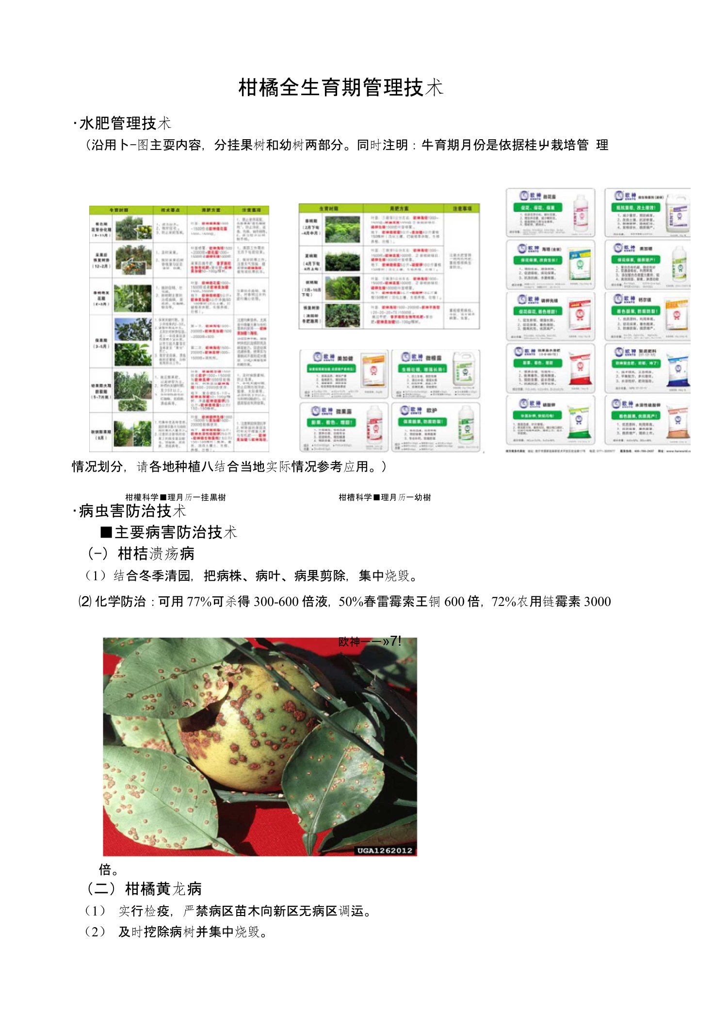 柑橘全生育期管理技术