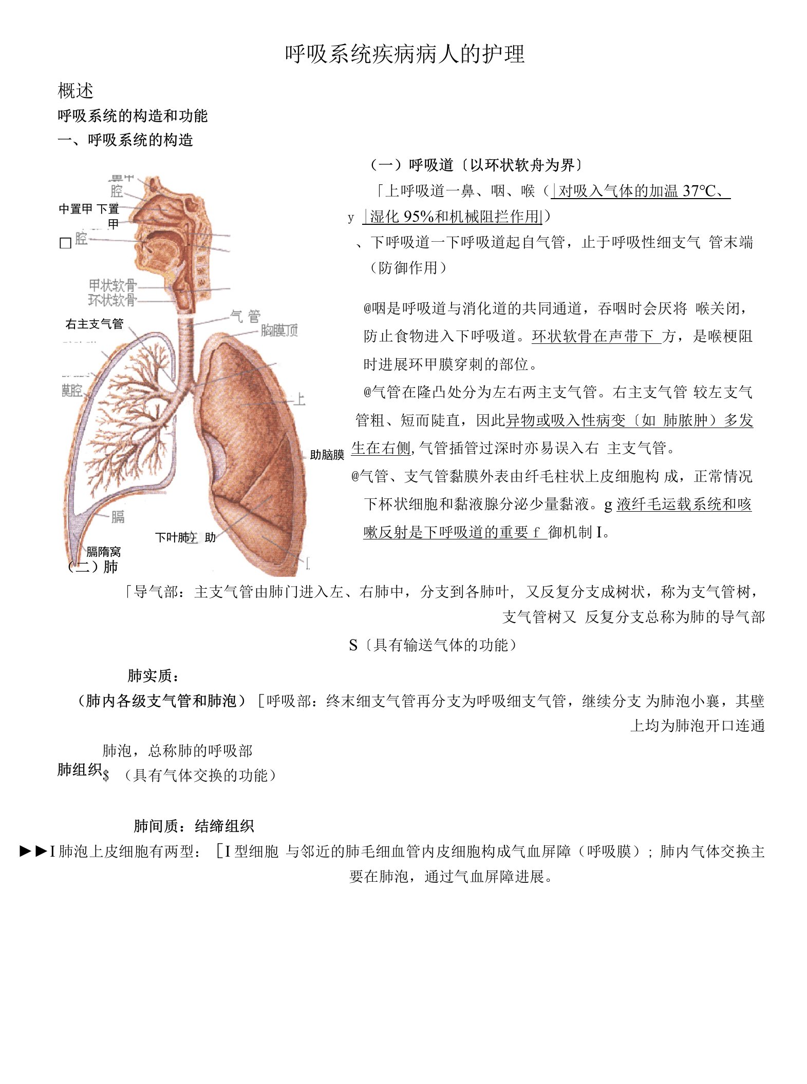 内科护理学笔记(呼吸系统)经典.doc