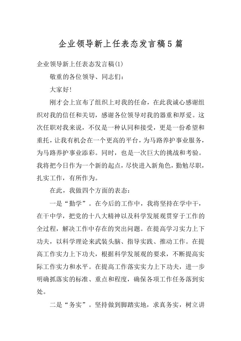 企业领导新上任表态发言稿5篇