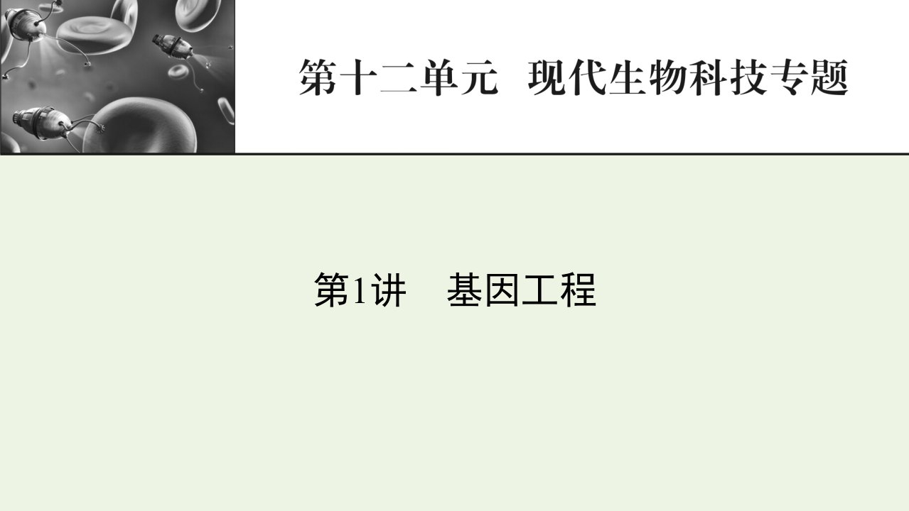 2022届高考生物一轮复习第12单元现代生物科技专题第1讲基因工程课件新人教版