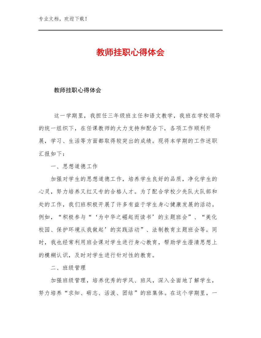 2023教师挂职心得体会范文20篇