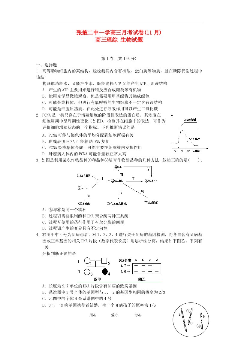 甘肃省张掖市高三生物上学期11月月考试题新人教版