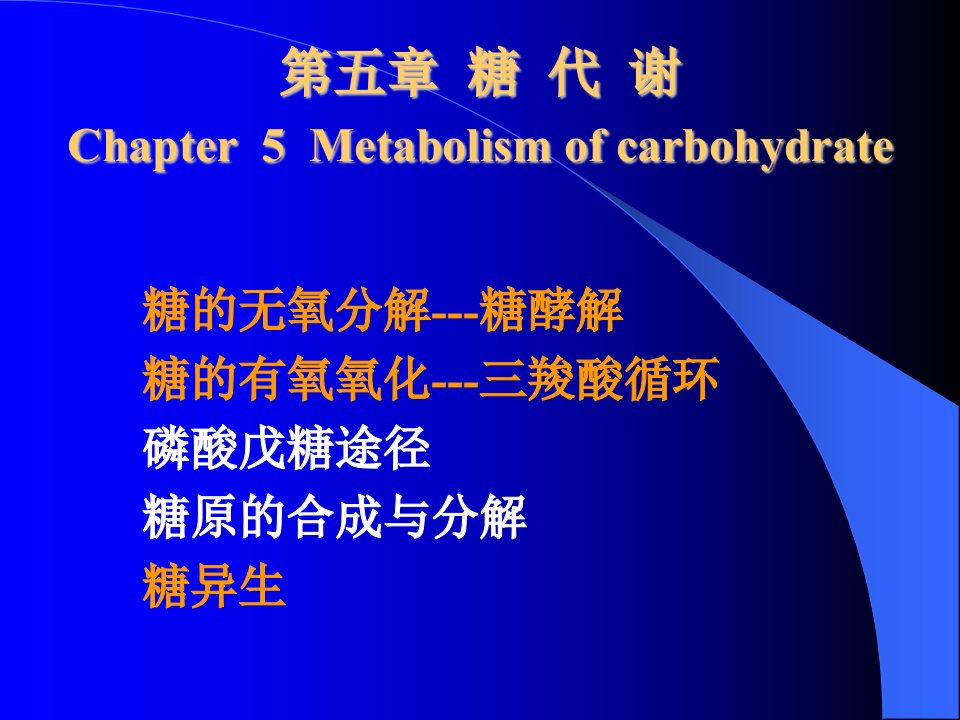 《生化糖代谢》PPT课件