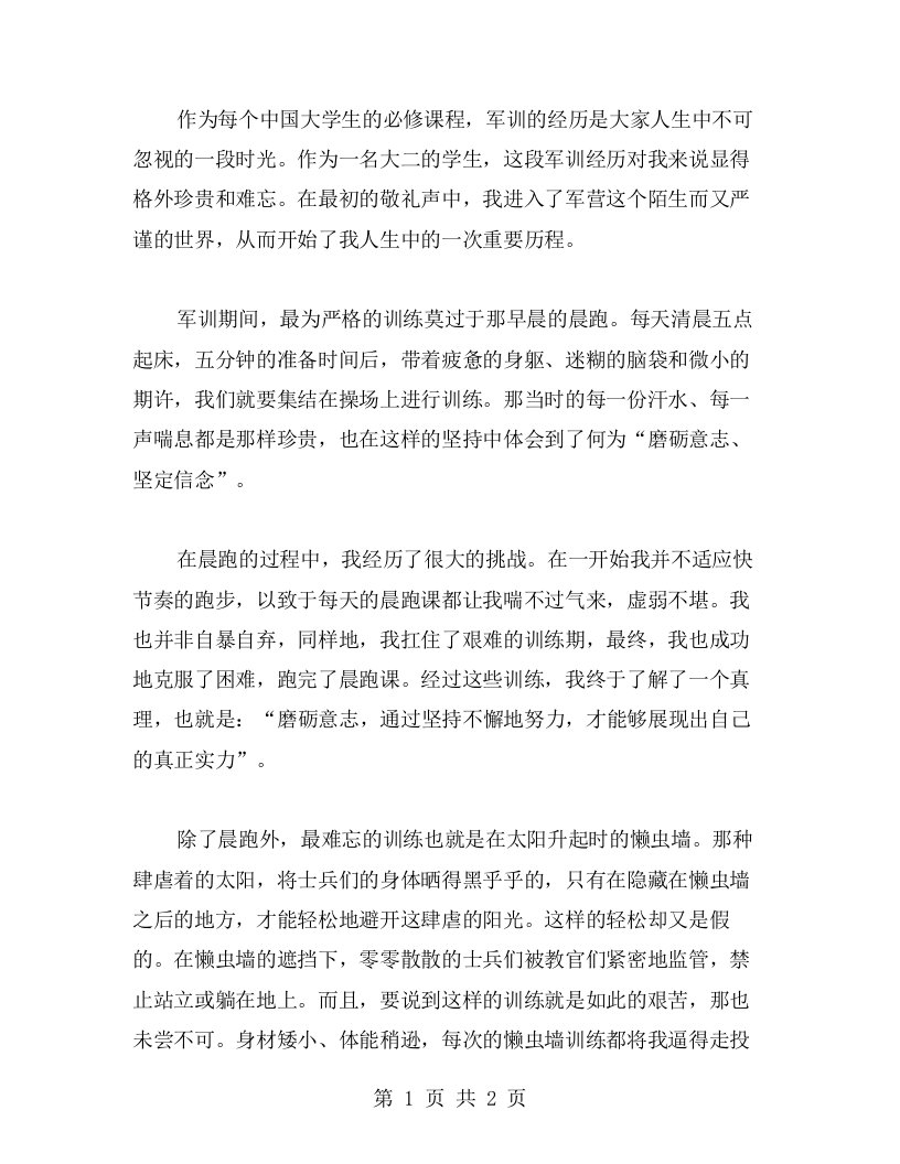 我的军训经历：磨砺意志，坚定信念