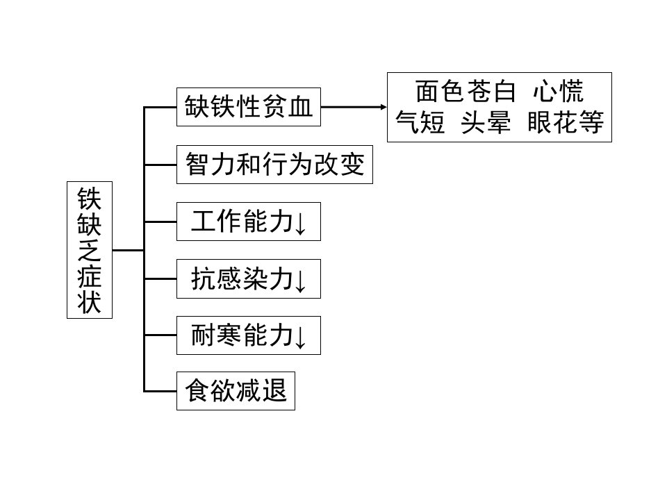 营养与健康课件