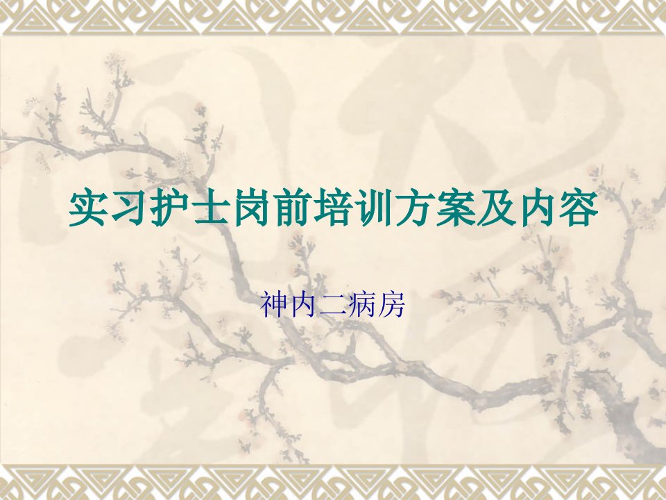 实习护士岗前培训方案及内容