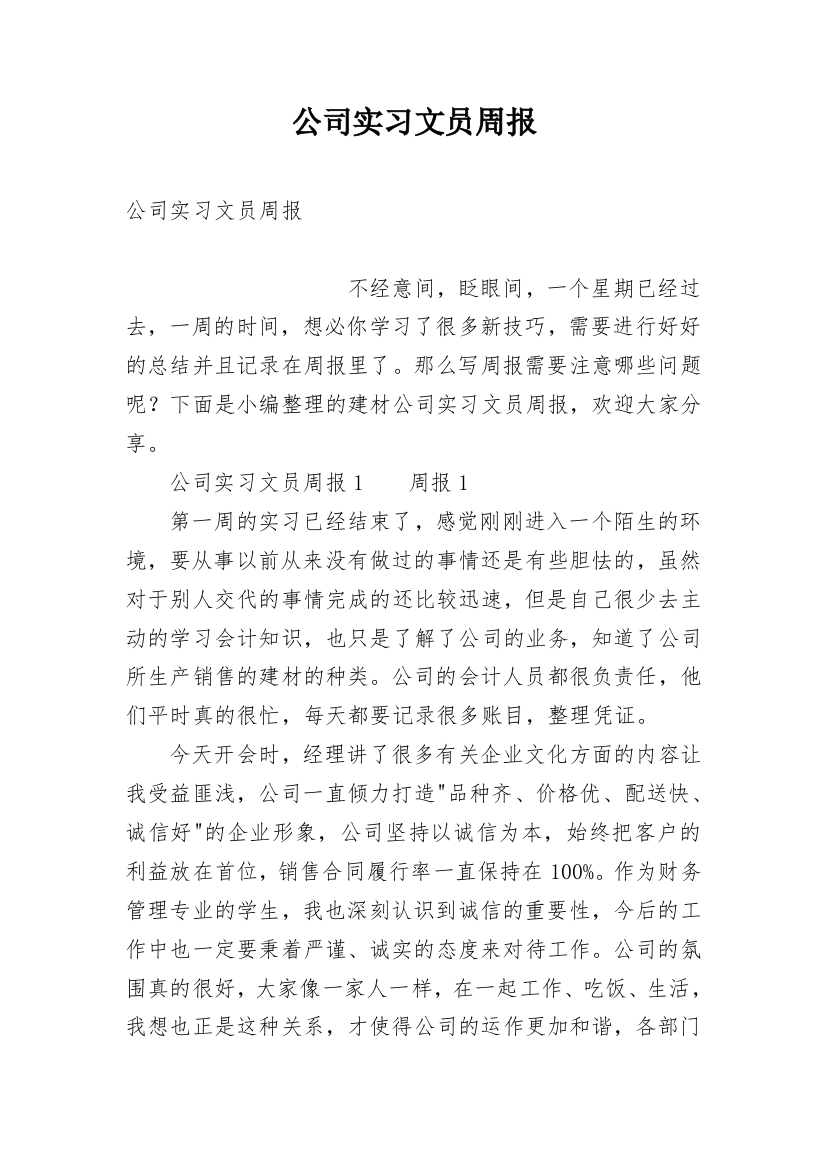 公司实习文员周报