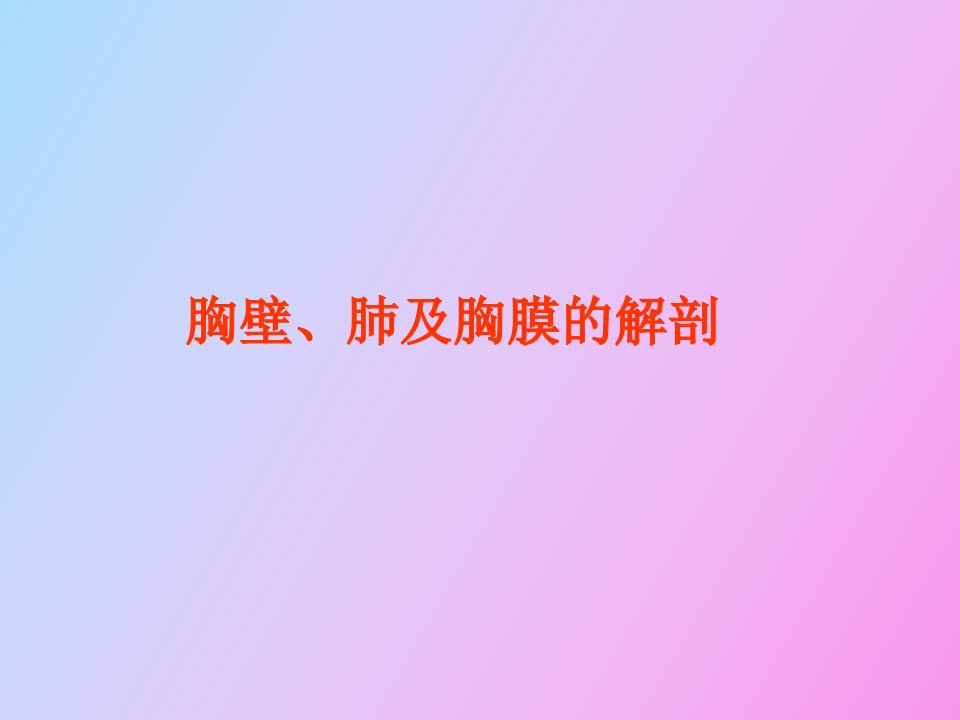 胸壁、肺及胸膜的解剖人体解剖