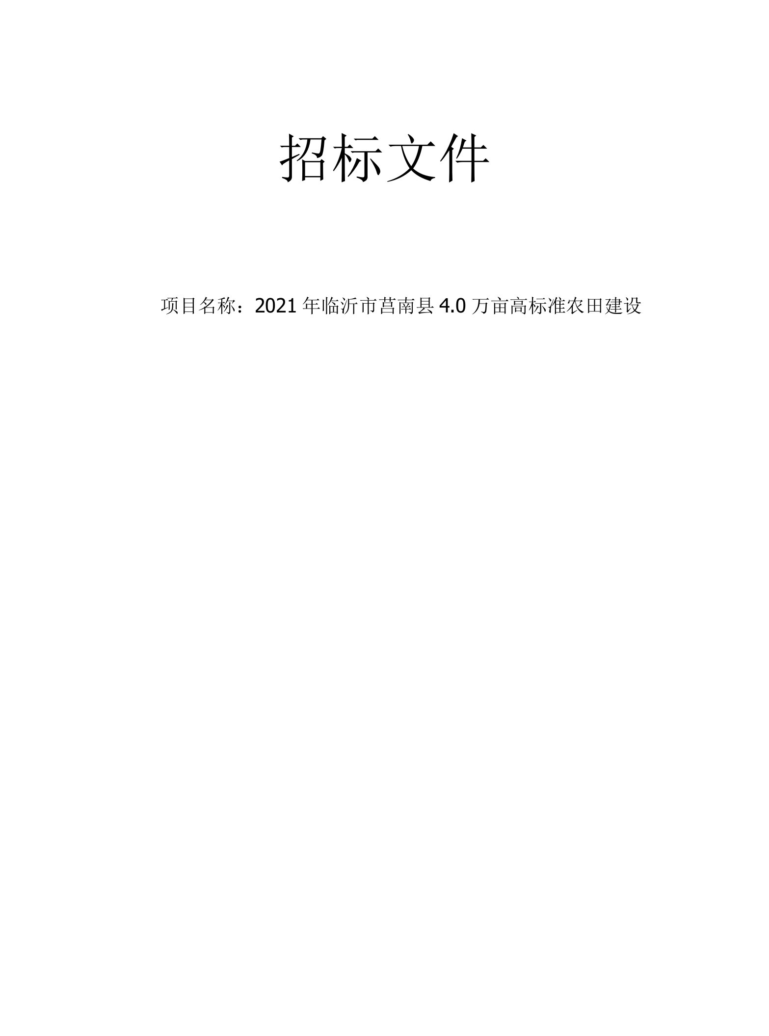 2021年临沂市莒南县4.0万亩高标准农田建设项目结余资金项目-大店、道口1标段招标文件