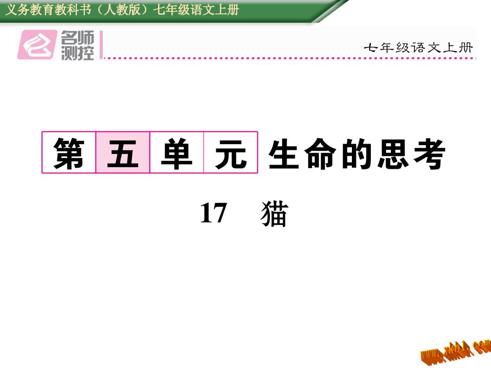 免费新教材人教版七年级语文上册17猫导学案及答案初中语文学案网详细信息