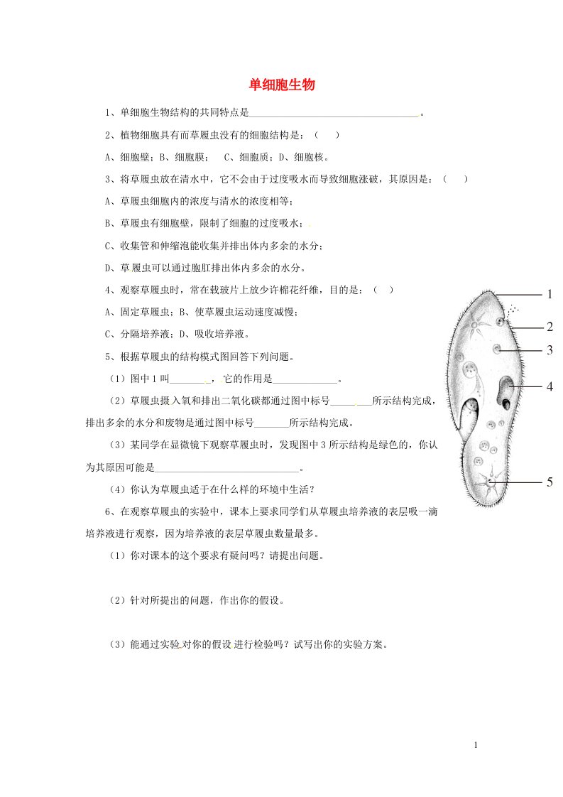 七年级生物上册第二单元生物体的结构层次第二章细胞怎样构成生物体第四节单细胞生物习题4新版新人教版