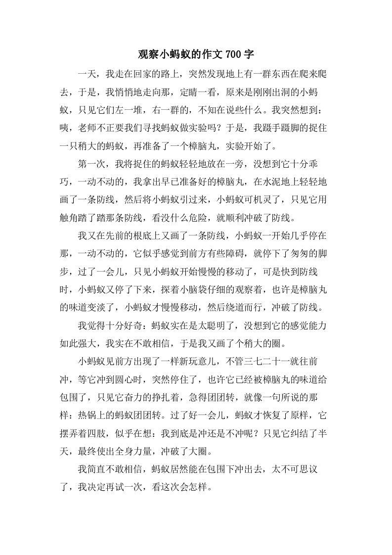 观察小蚂蚁的作文700字