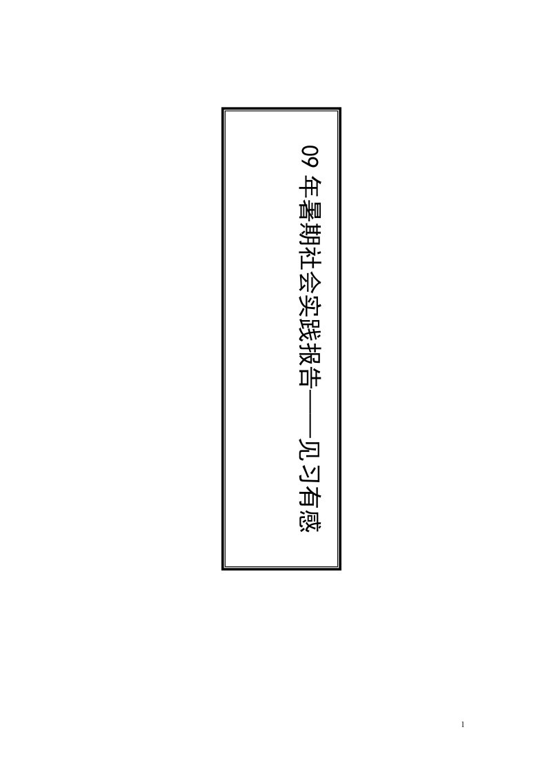 计算机专业暑假实践报告