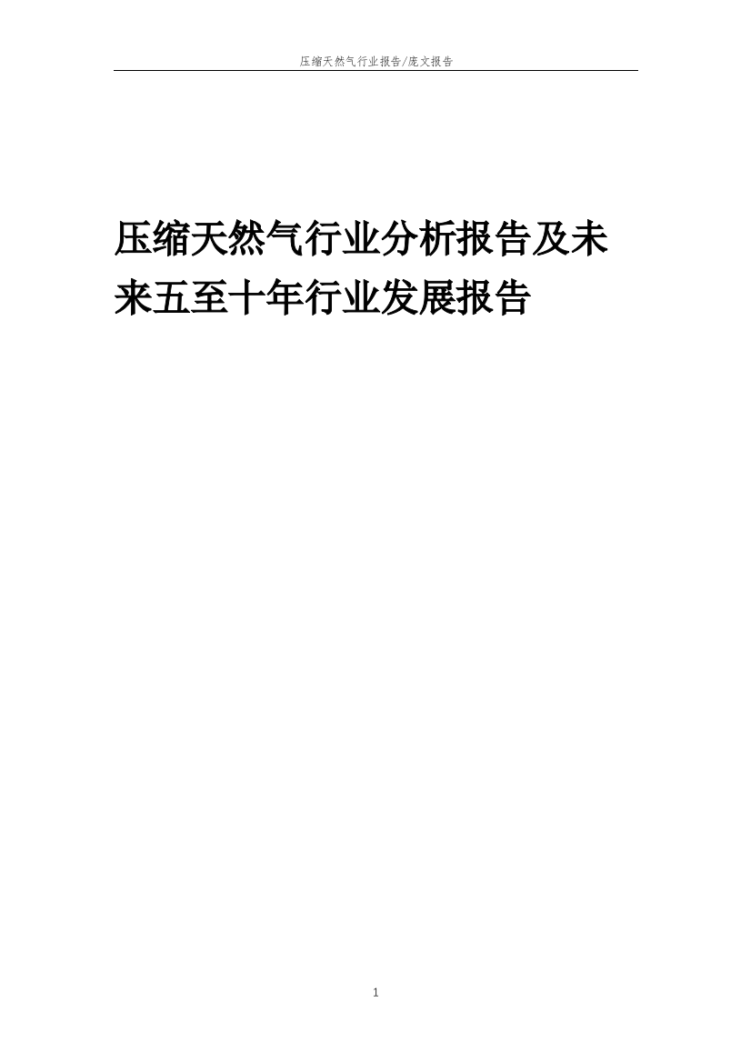 2023年压缩天然气行业分析报告及未来五至十年行业发展报告