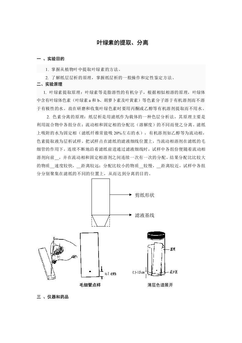 实验六叶绿素的提取、分离