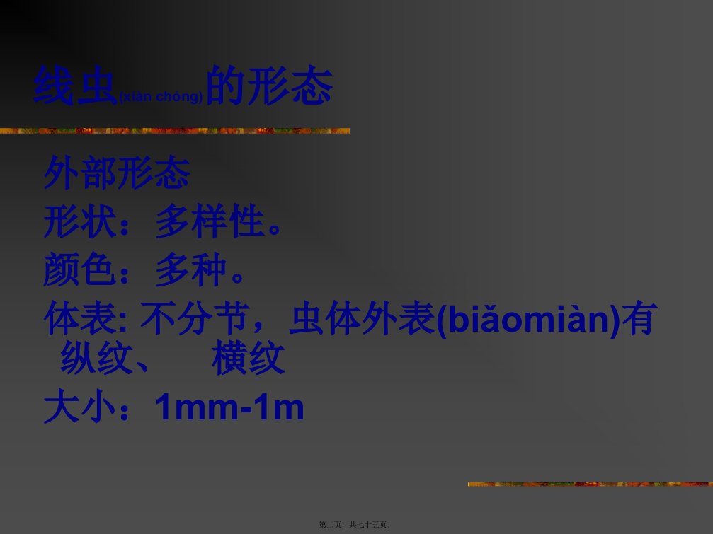 医学专题第一节蛔虫病