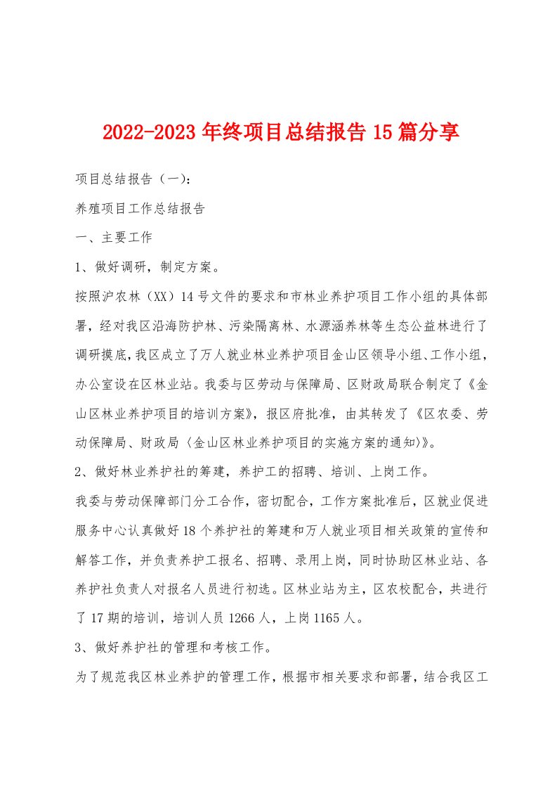 2022-2023年终项目总结报告15篇分享