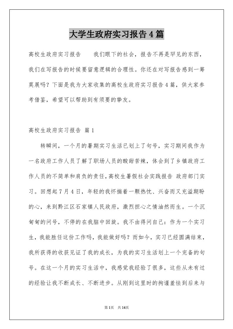 大学生政府实习报告4篇