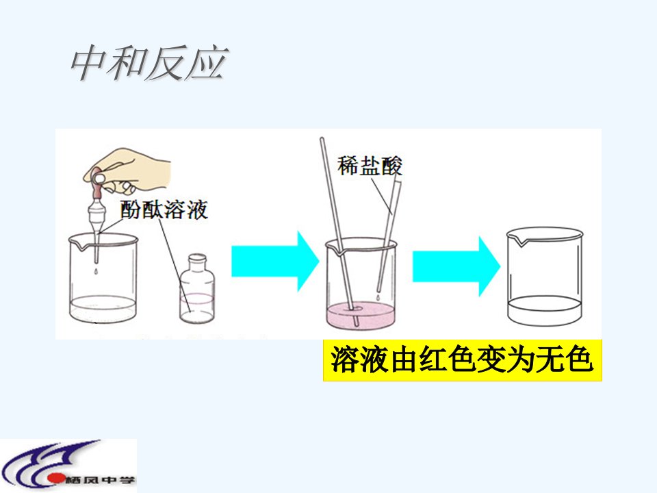 化学人教版九年级下册氢氧化钠的变质