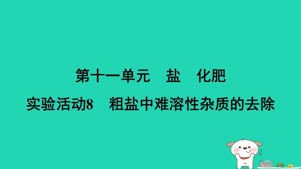 2024九年级化学下册第十一单元盐化肥实验活动8粗盐中难溶性杂质的去除习题课件新版新人教版