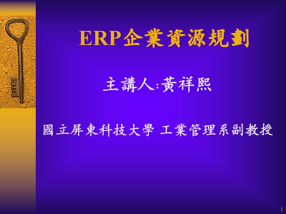 ERP企业资源规划