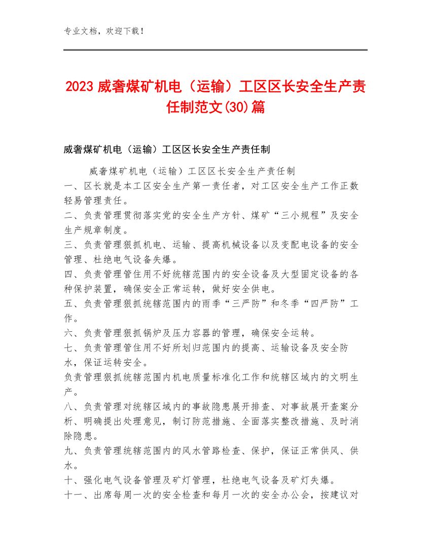 2023威奢煤矿机电（运输）工区区长安全生产责任制范文(30)篇