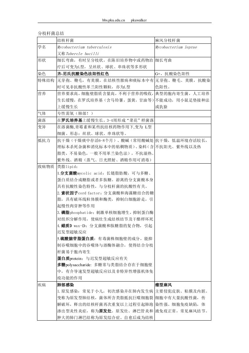 分枝杆菌属