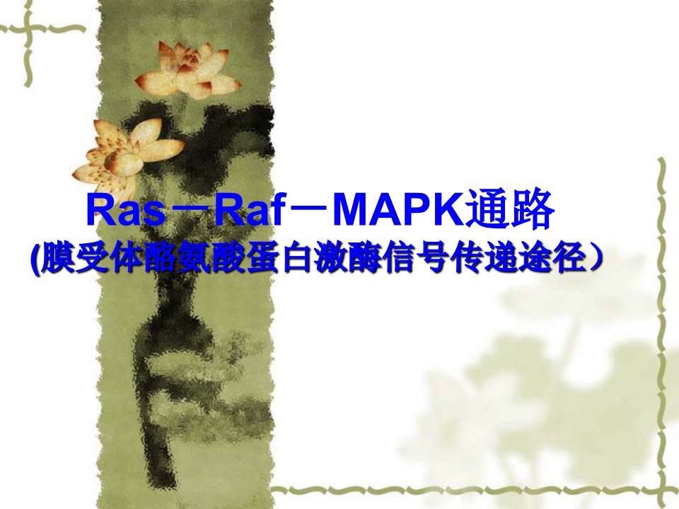 Ras-Raf-MAPK通路(膜受体酪氨酸蛋白激酶信号传递途径)