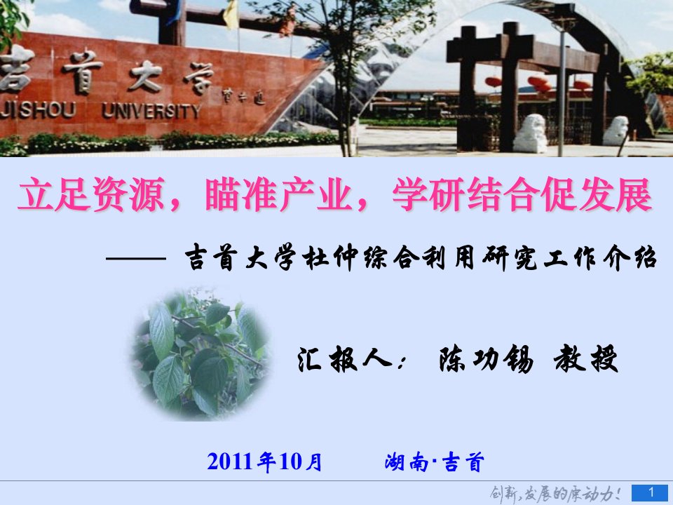 报告：陈功锡——吉首大学杜仲研究情况介绍教材