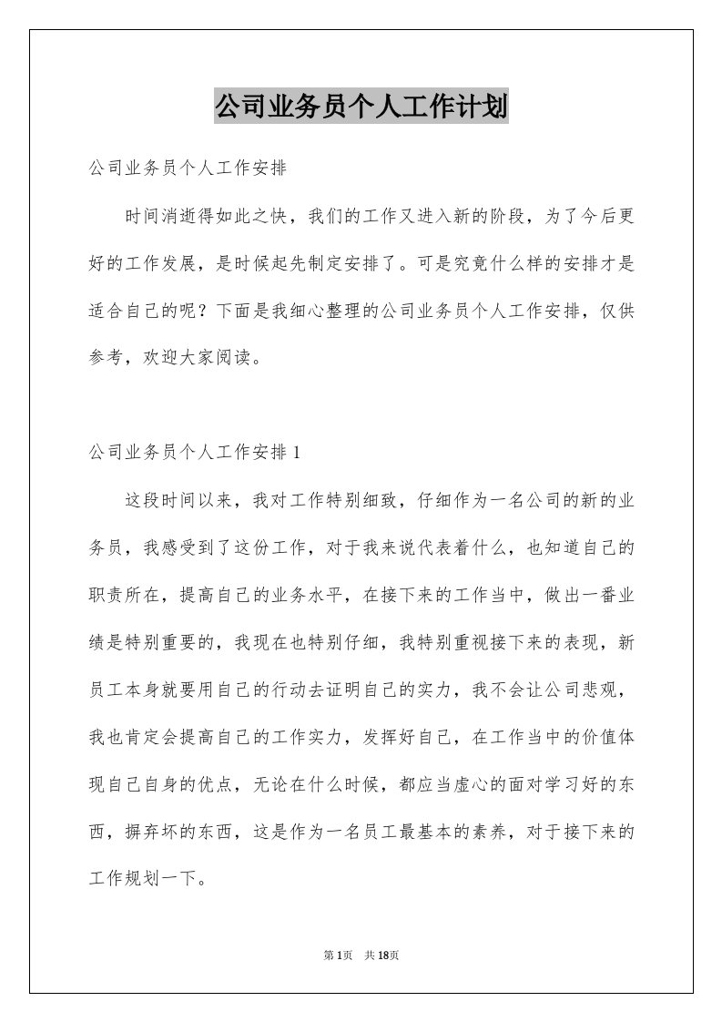 公司业务员个人工作计划精品