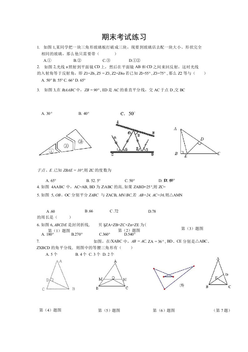 北师大版七年级下数学复习题