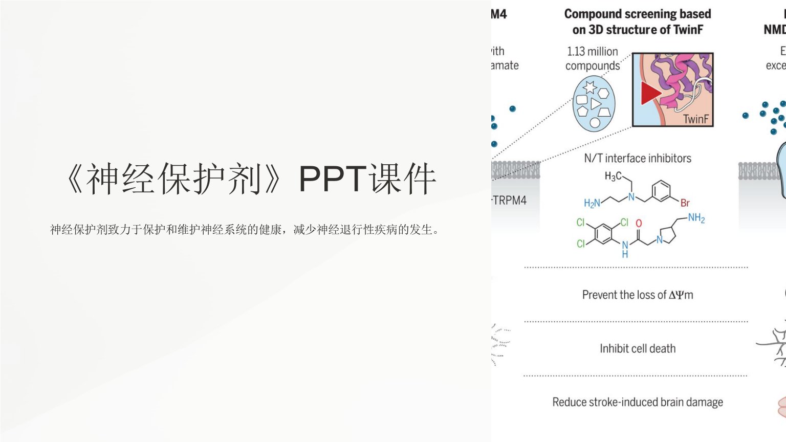 《神经保护剂》课件