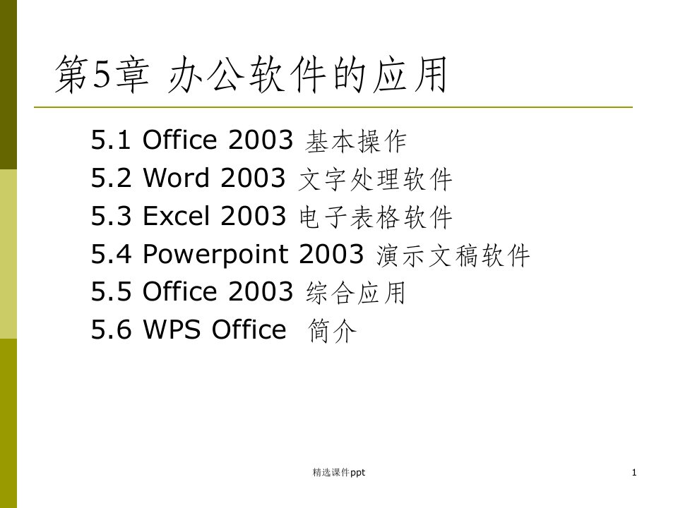 《办公软件的应用》PPT课件