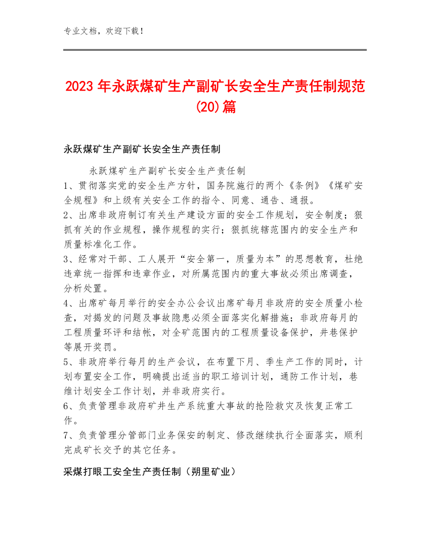 2023年永跃煤矿生产副矿长安全生产责任制规范(20)篇